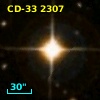 CD-33  2307