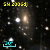 SN 2006dj