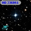 HD 236081