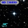 HD 236099