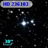 HD 236103