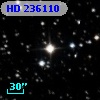 HD 236110