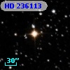 HD 236113