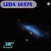 LEDA   16978