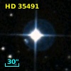 HD  35491