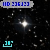 HD 236123