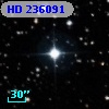 HD 236091