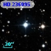 HD 236095