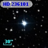 HD 236101