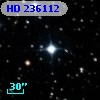 HD 236112