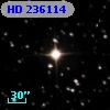 HD 236114