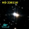 HD 236116