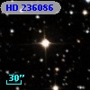 HD 236086