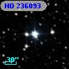 HD 236093