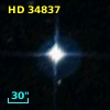 HD  34837