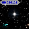 HD 236121