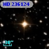 HD 236124
