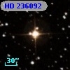 HD 236092