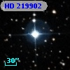HD 219902
