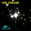 HD 236100