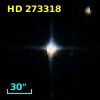 HD 273318
