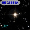 HD 236119