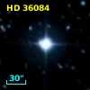 HD  36084