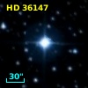 HD  36147