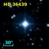 HD  36439
