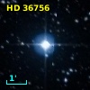 HD  36756