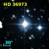 HD  36973
