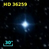 HD  36259
