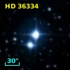 HD  36334