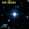 HD  36291