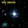 HD  36534