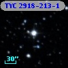 TYC 2918-213-1