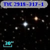 TYC 2918-317-1