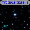 TYC 2918-2239-1