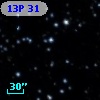 13P 31