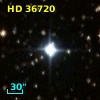 HD  36720