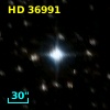 HD  36991