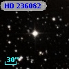 HD 236082