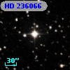 HD 236066