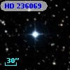 HD 236069