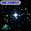 HD 219037