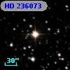 HD 236073