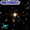 HD 236072
