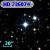 HD 236074