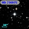 HD 236075