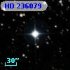 HD 236079